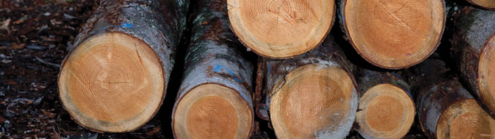 Douglas Fir - Climate