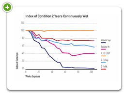 Index of Condition 2 Years